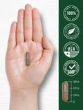 Carlyle sello de laboratorio y control de calidad visible en envase