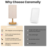 Caromolly panel de controles y etiquetas mostrando temporizador y memoria