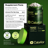 Cata-Kor certificado de análisis impreso mostrando cumplimiento de pruebas de calidad