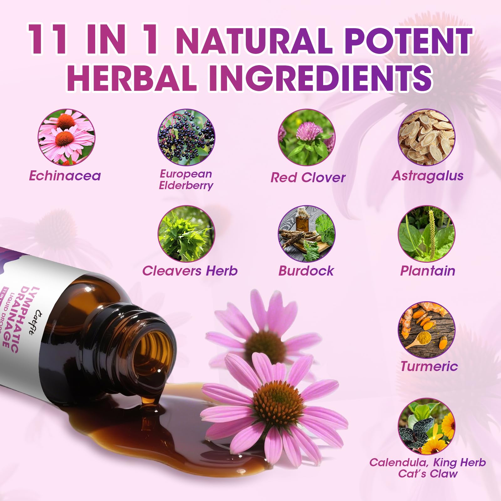 Catfit etiqueta con lista de ingredientes naturales para comprobar la formulación herbal