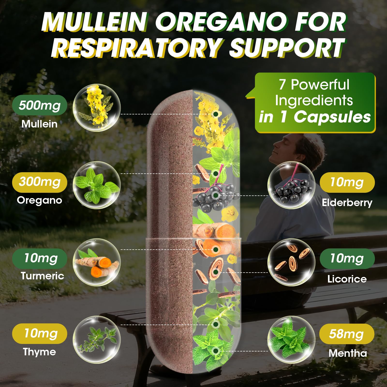 Ingredientes naturales Catfit: hoja de llantén y sauco junto a cápsulas para soporte respiratorio