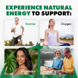 Cell Power etiqueta con lista de vitaminas y minerales, transparencia en ingredientes