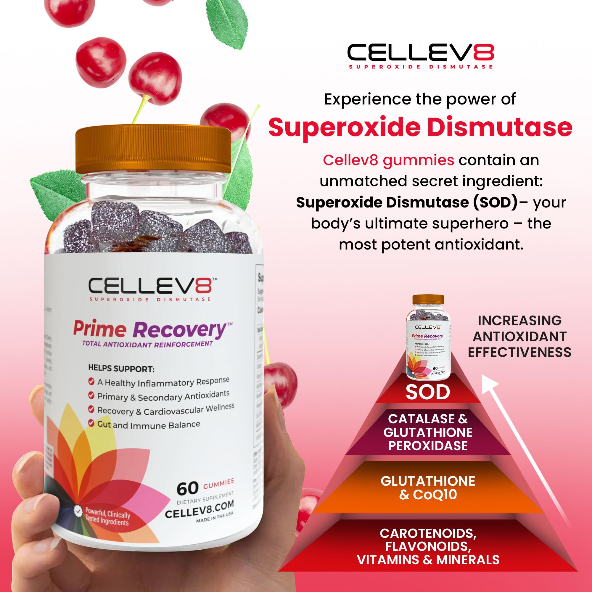Cellev8 collage de cereza ácida granada y arándano beneficios antioxidantes