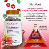 Cellev8 collage de cereza ácida granada y arándano beneficios antioxidantes