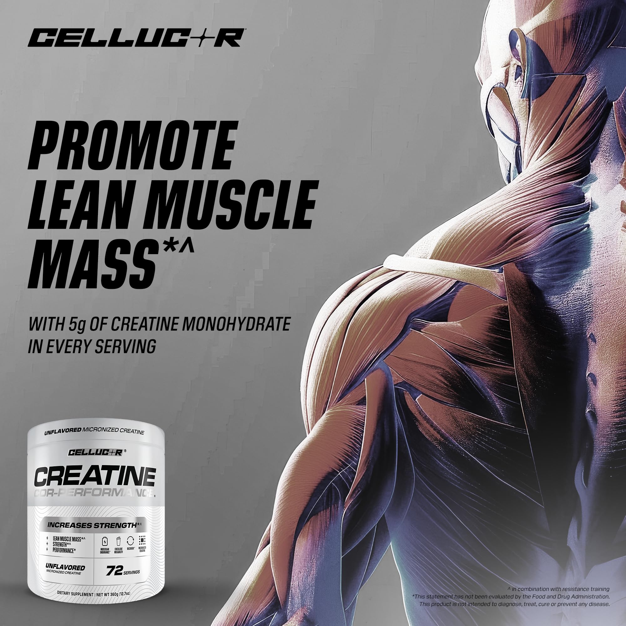 Cellucor envase junto a mano para escala de tamaño real