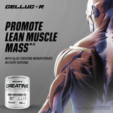 Cellucor envase junto a mano para escala de tamaño real