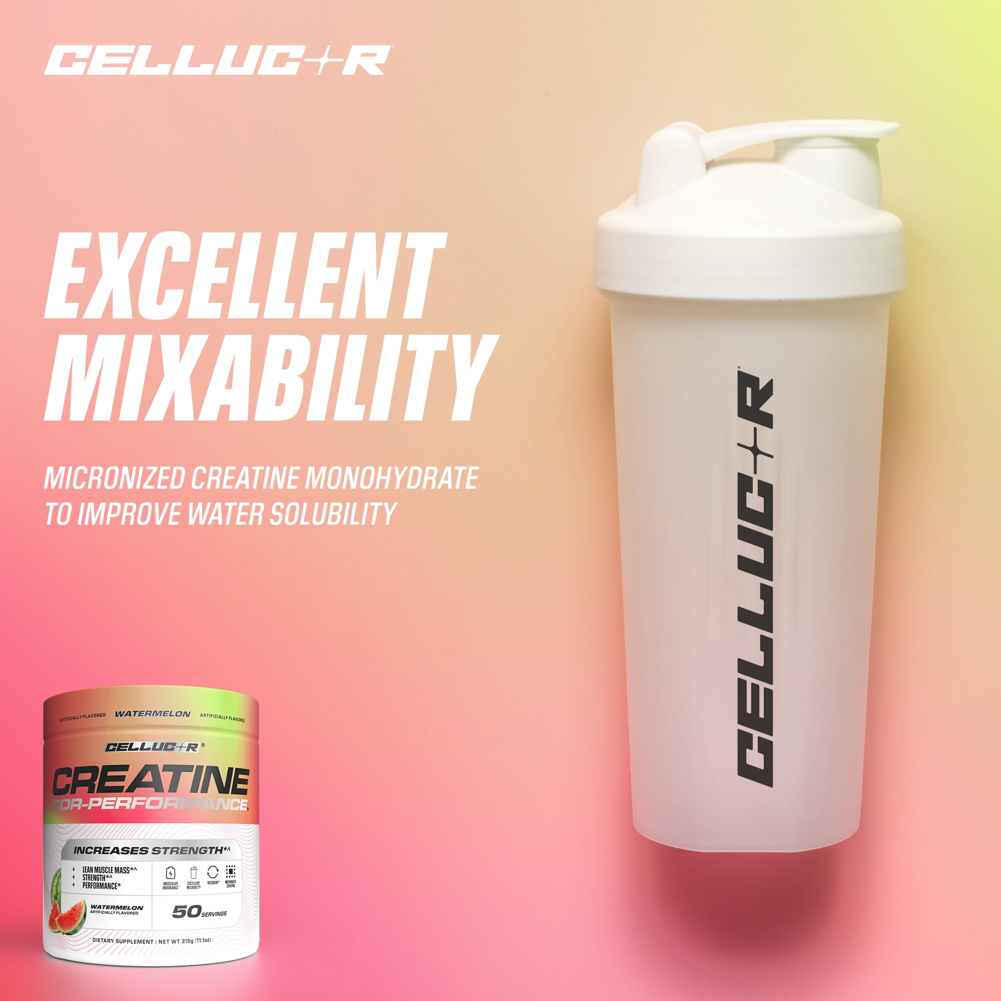 Bote Cellucor creatina sobre banco de gimnasio para uso práctico