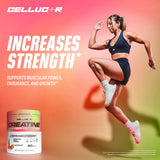 Comparación de tamaño del bote Cellucor con una porción para referencia