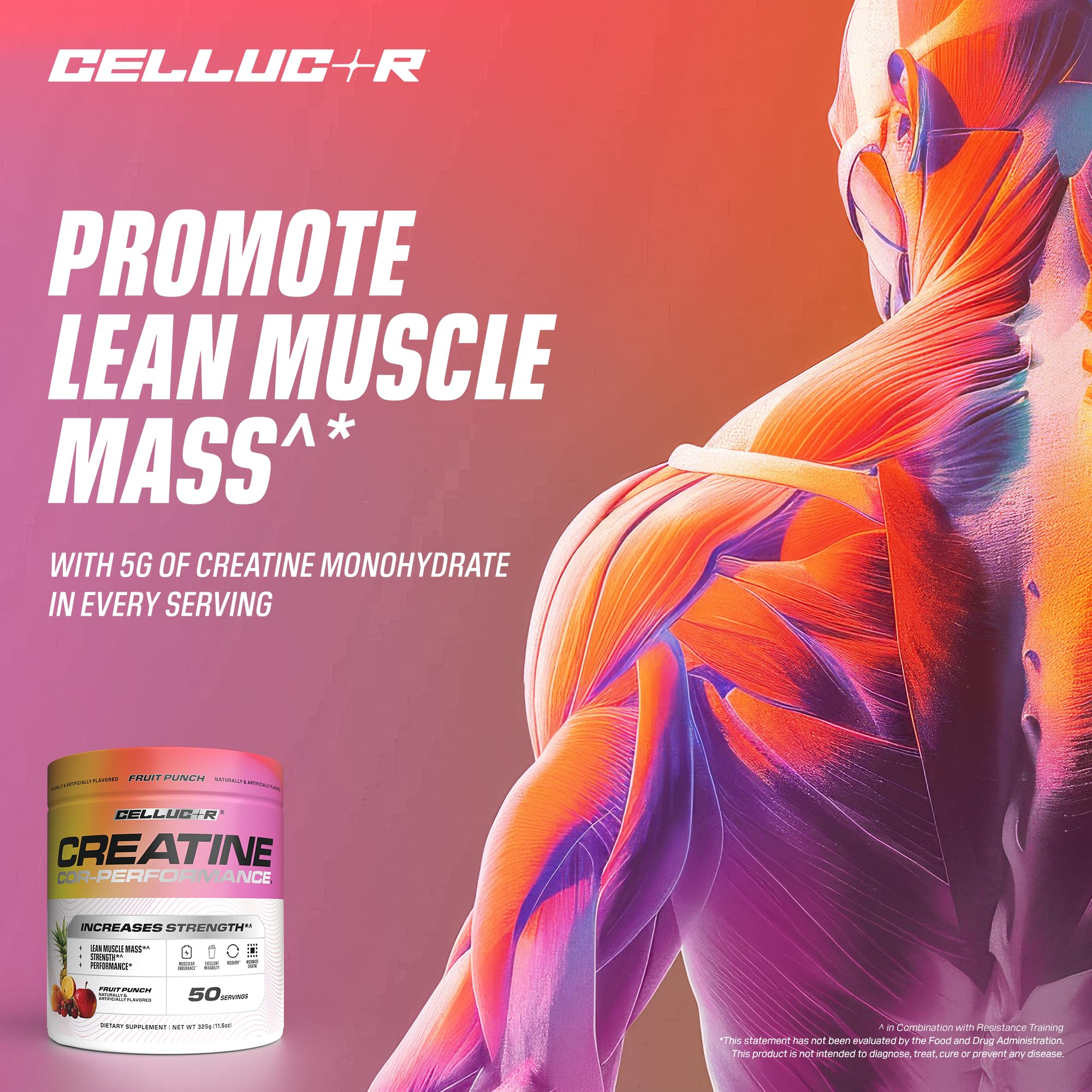 Cellucor etiqueta con información nutricional y contenido de creatina