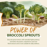 Brotes de brócoli y semillas de mostaza que aportan los ingredientes