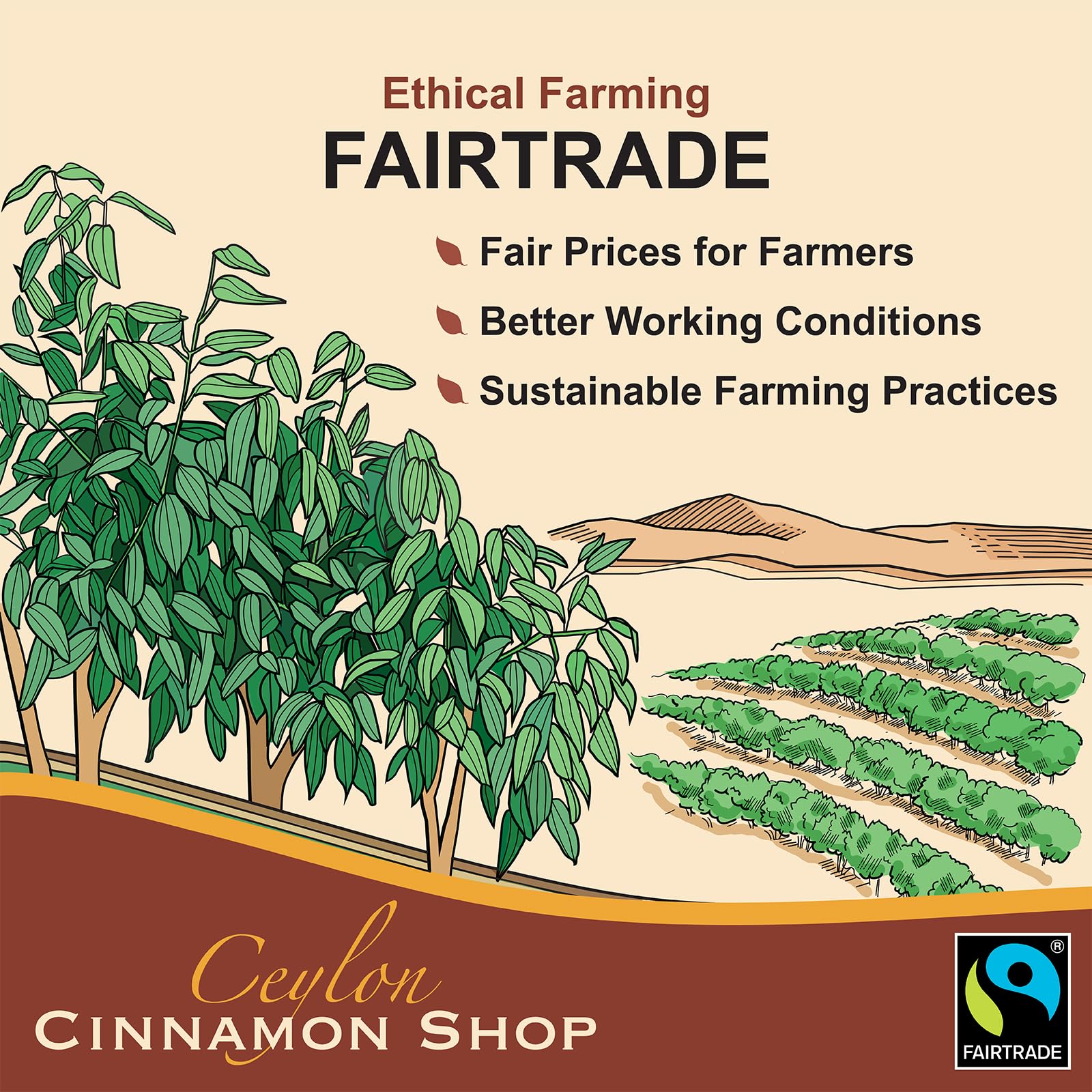 Ceylon Cinnamon Shop campo de cultivo Fairtrade mostrando prácticas sostenibles