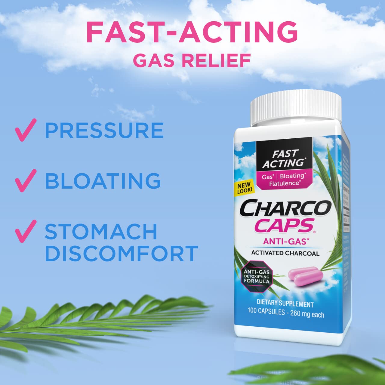 Charcocaps polvo de carbón activado textura natural beneficios digestivos