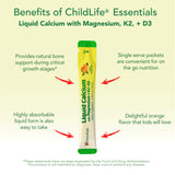 ChildLife Essentials caja y sobres organizados para llevar fuera de casa