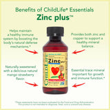 ChildLife Essentials comparación de tamaño junto a mano para referencia de volumen
