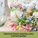 Chrysal en escena decorativa mostrando flores vibrantes y duraderas