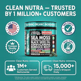 Clean Nutra frasco en mesa de desayuno demostrando integración diaria