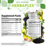 Clean Nutraceuticals polvo de extracto en primer plano para ver textura y pureza