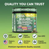 Clean Nutraceuticals hierbas frescas como mullein, orégano y elderberry