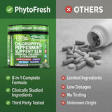 Clean Nutraceuticals ingredientes secos: sea moss y chlorella fuente de prebióticos