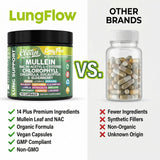 Clean Nutraceuticals mezcla de hierbas secas que ilustra ingredientes