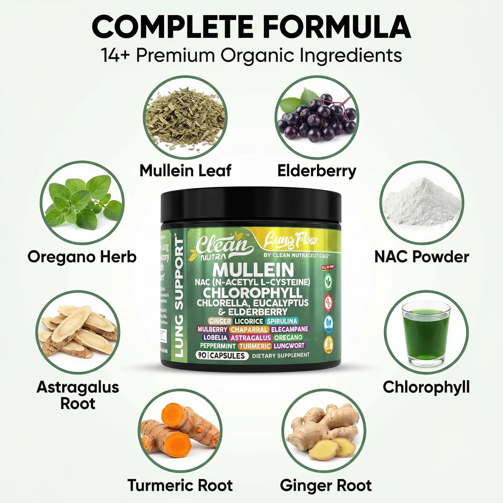 Clean Nutraceuticals polvo de extracto mostrando textura concentrada
