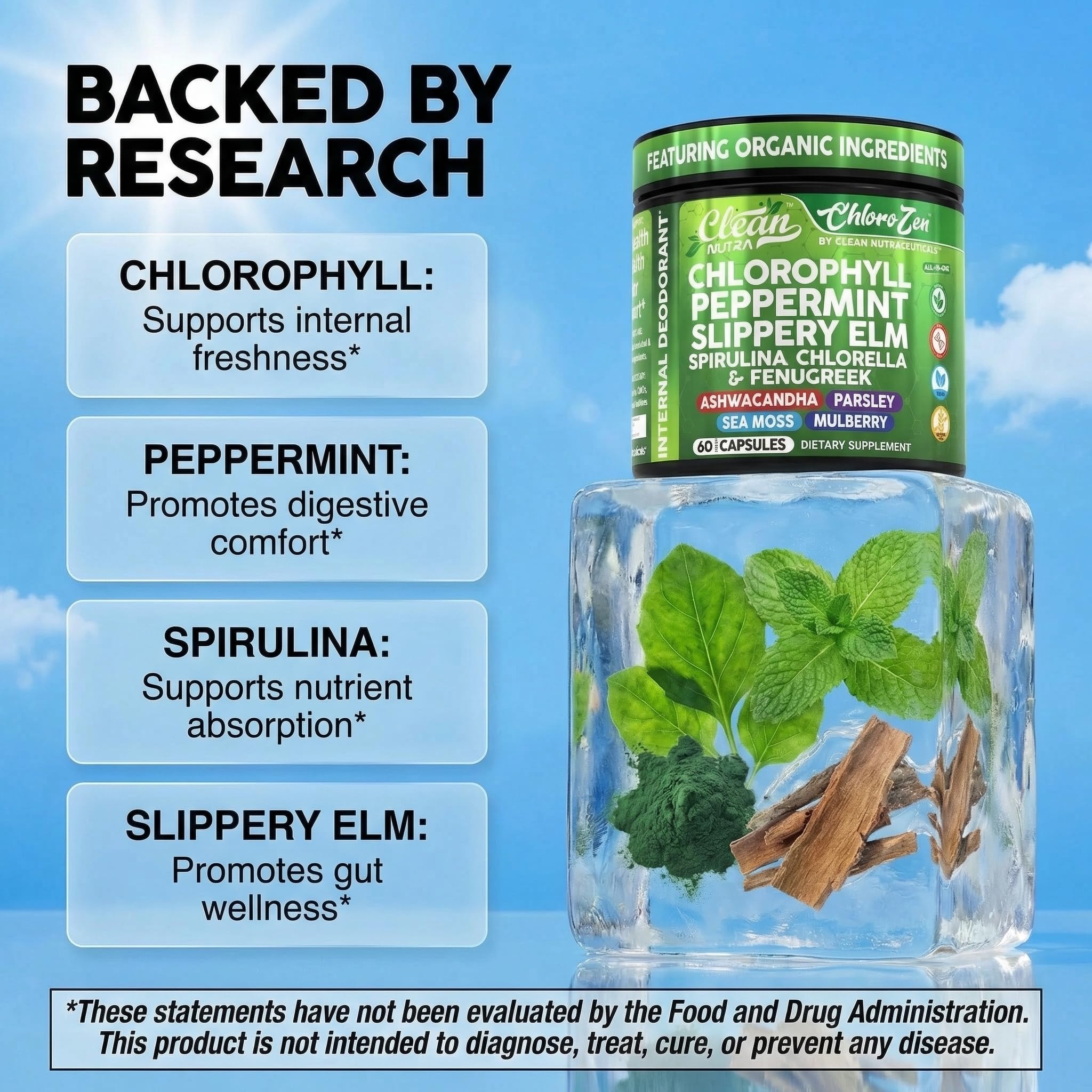 Clean Nutraceuticals polvo de spirulina en primer plano con textura nutritiva