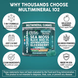 Frascos y embalaje sostenible Clean Nutraceuticals enfatizando diseño y almacenamiento seguro