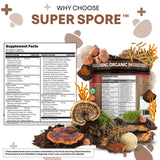 Clean Nutraceuticals caja abierta con frasco y cápsulas visibles para mostrar contenido real