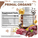 Clean Nutraceuticals cápsula en mano para comparar tamaño real