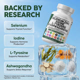 Clean Nutraceuticals cápsulas en mano para mostrar el tamaño y comparación a escala práctica