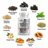 Ingredientes botánicos de CharcoBiotic: menta, hinojo, jengibre para confort digestivo