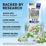 Clean Nutraceuticals CogniZen polvo de ingredientes para mezcla y pureza