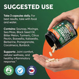 Clean Nutraceuticals cápsula junto a moneda para comparación de tamaño