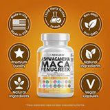 Clean Nutraceuticals junto a varios envases mostrando reemplazo de múltiples suplementos