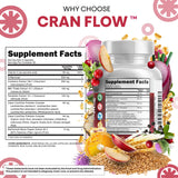 Clean Nutraceuticals ilustración de las cepas probióticas incluidas
