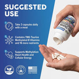 Clean Nutraceuticals detalle del polvo TMG para apreciar textura pura