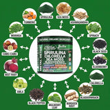 Clean Nutraceuticals etiqueta con lista de ingredientes clave y claridad informativa