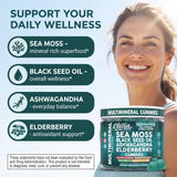 Closeup textura de gominola Clean Nutraceuticals mostrando color y consistencia apetecible