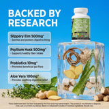 Clean Nutraceuticals ingredientes en mesa destacando probióticos y extractos herbales