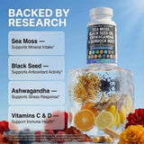 Clean Nutraceuticals ingredientes dispuestos: sea moss, black seed y cúrcuma visibles
