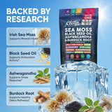 Clean Nutraceuticals mezcla de ingredientes en polvo visible y variada