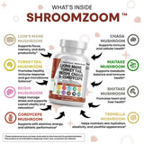 Clean Nutraceuticals mezcla de hongos mostrando la variedad incluida