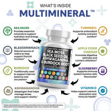 Composición de ingredientes naturales Clean Nutraceuticals destacando variedad botánica