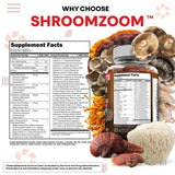 Variedad de hongos ilustrativos junto al producto Clean Nutraceuticals indicando el espectro de ingredientes