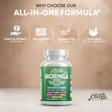 Clean Nutraceuticals etiqueta nutricional legible con lista de ingredientes