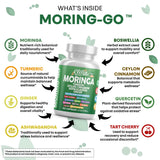 Clean Nutraceuticals textura de polvo mezcla de moringa y cúrcuma nutritiva