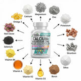 Clean Nutraceuticals ingredientes primarios junto a las cápsulas