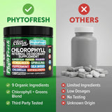 Clean Nutraceuticals polvo de algas en primer plano para nutrientes