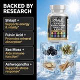 Placa con ingredientes clave: shilajit, sea moss, tongkat ali, ashwagandha por Clean Nutraceuticals
