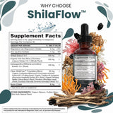 Clean Nutraceuticals dosis en vaso mezclada con agua para toma diaria rápida